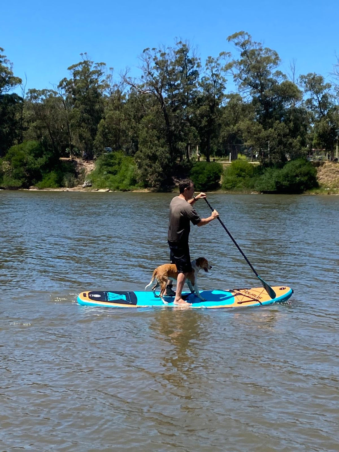 ¿Qué puedes hacer con una tabla de paddle surf? Más de lo que imaginas